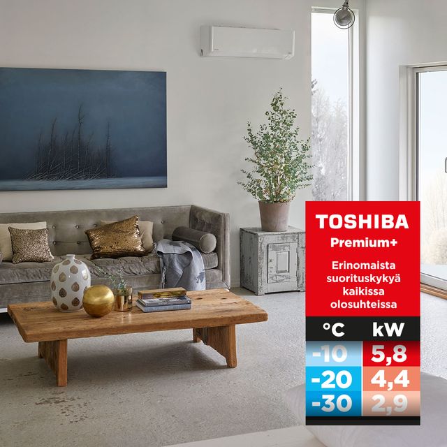 Toshiba Premium +